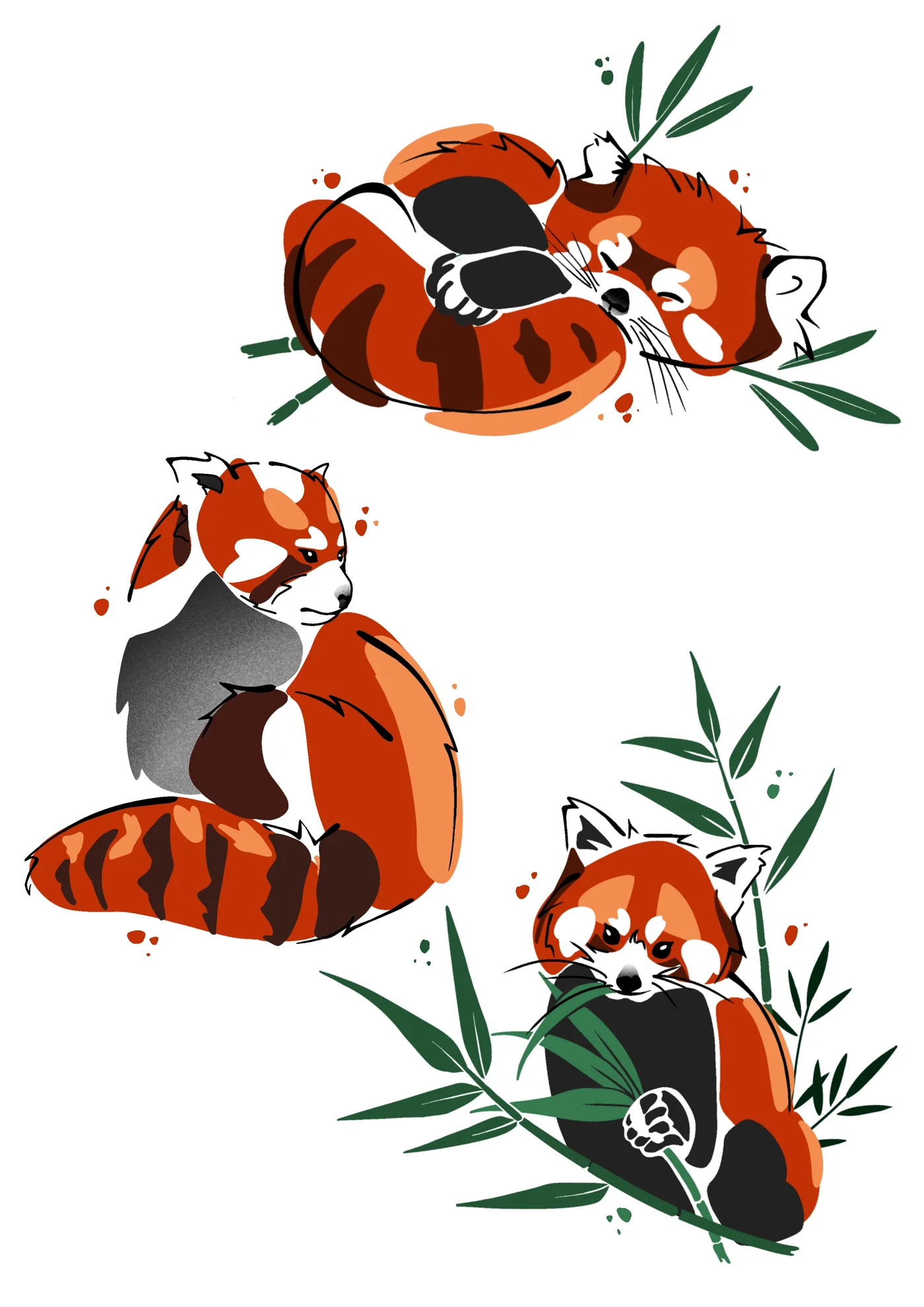 Flash renard roux