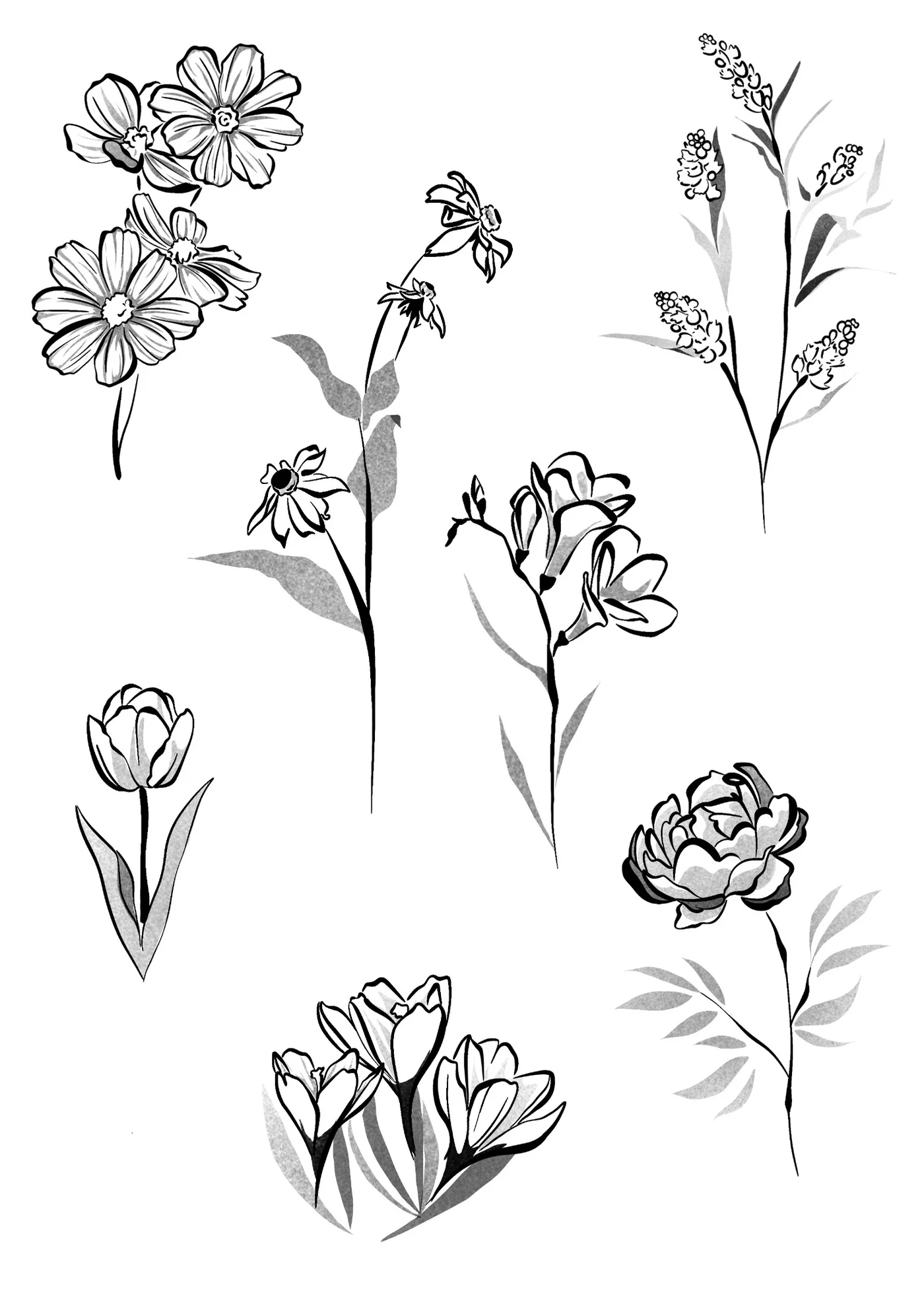 Flash fleur