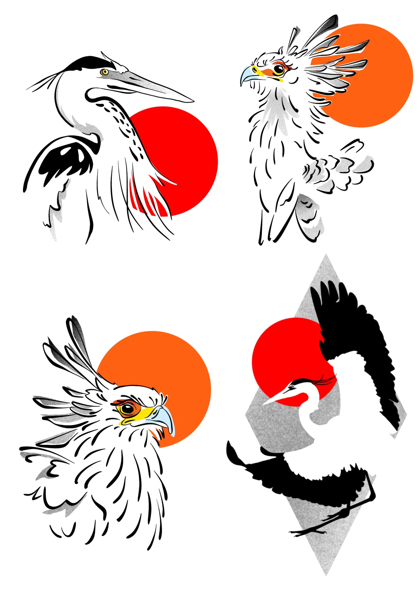 Flash oiseaux