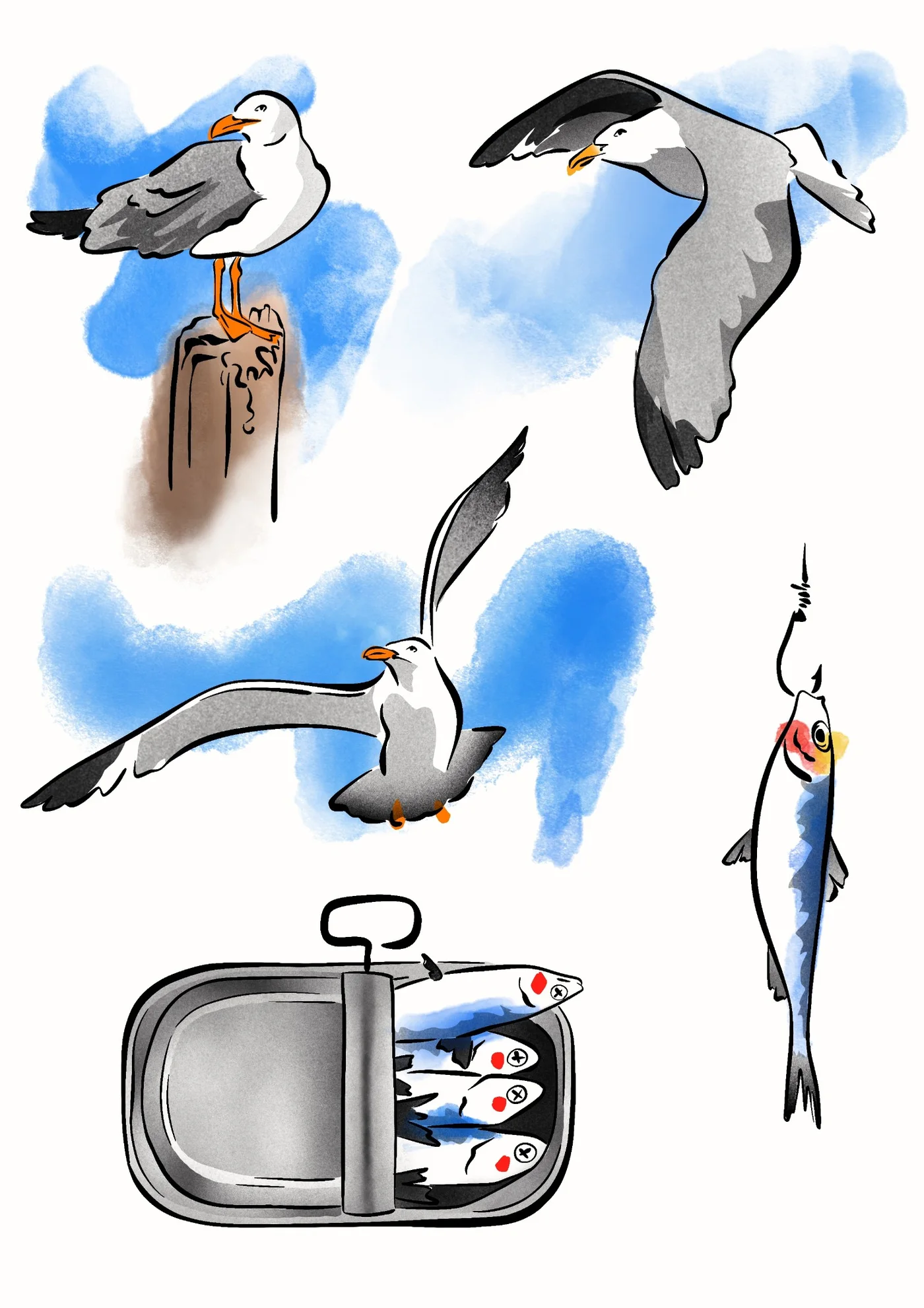 Flash mouette et sardine