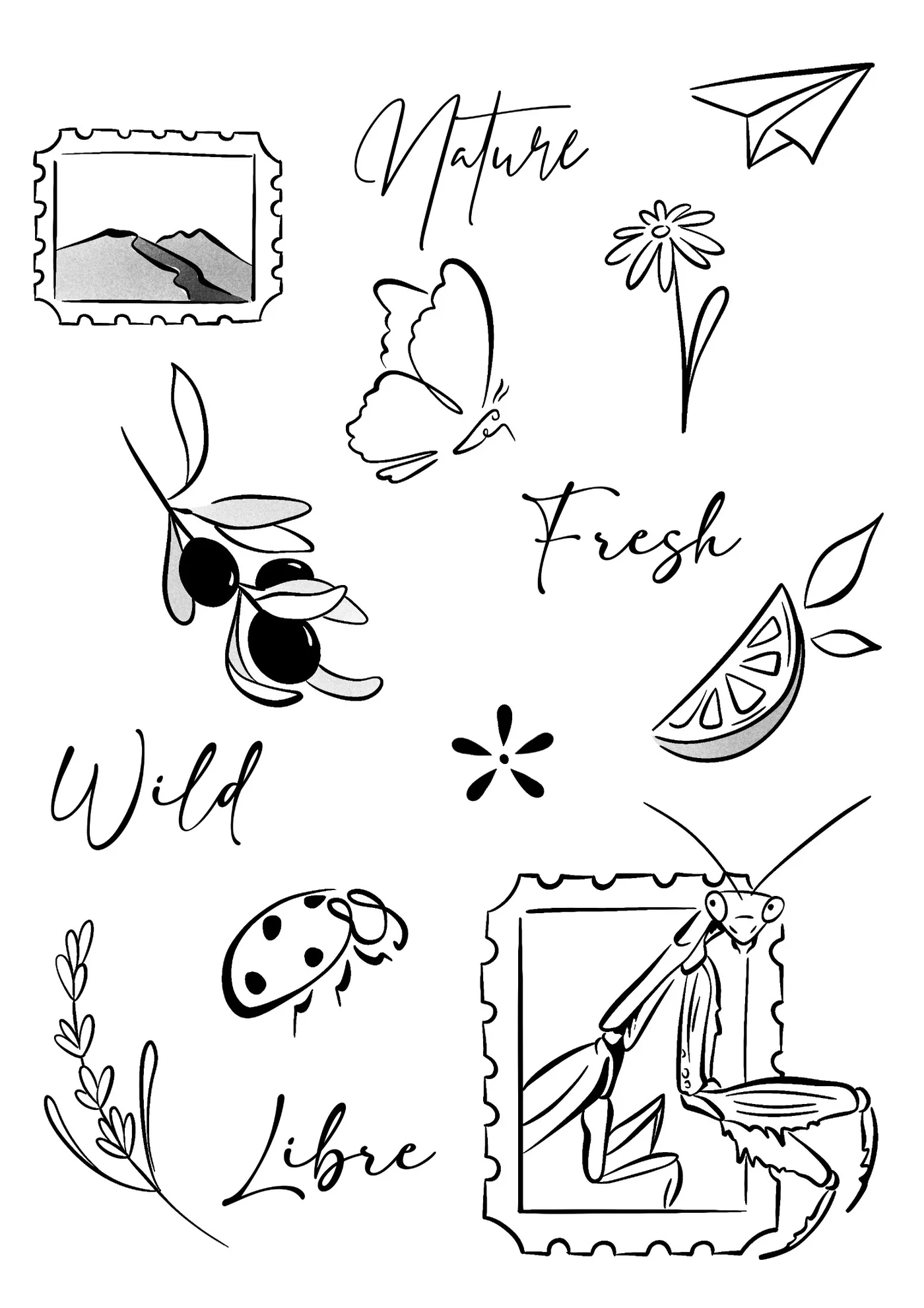 Petit flash 3