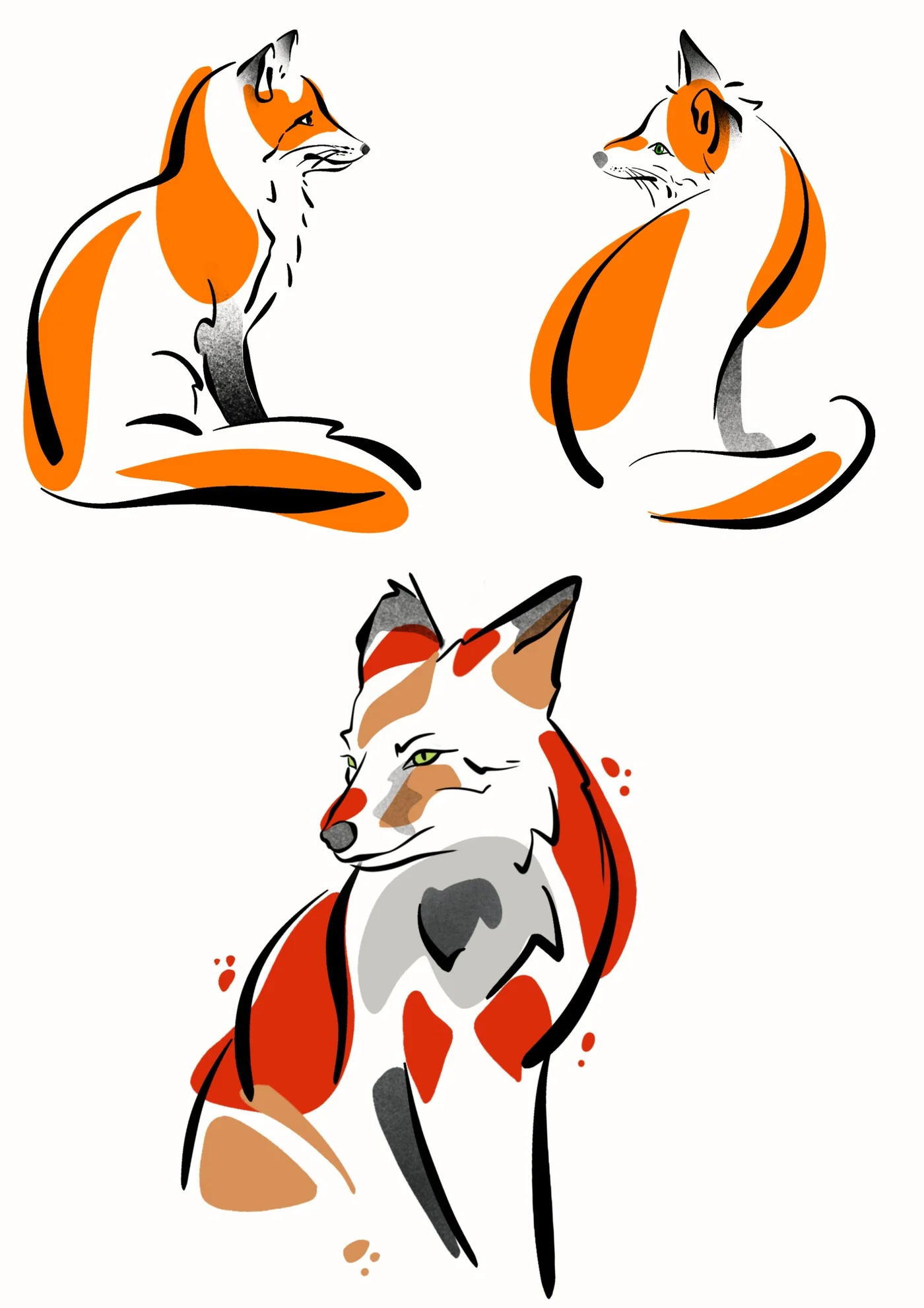 Flash renard